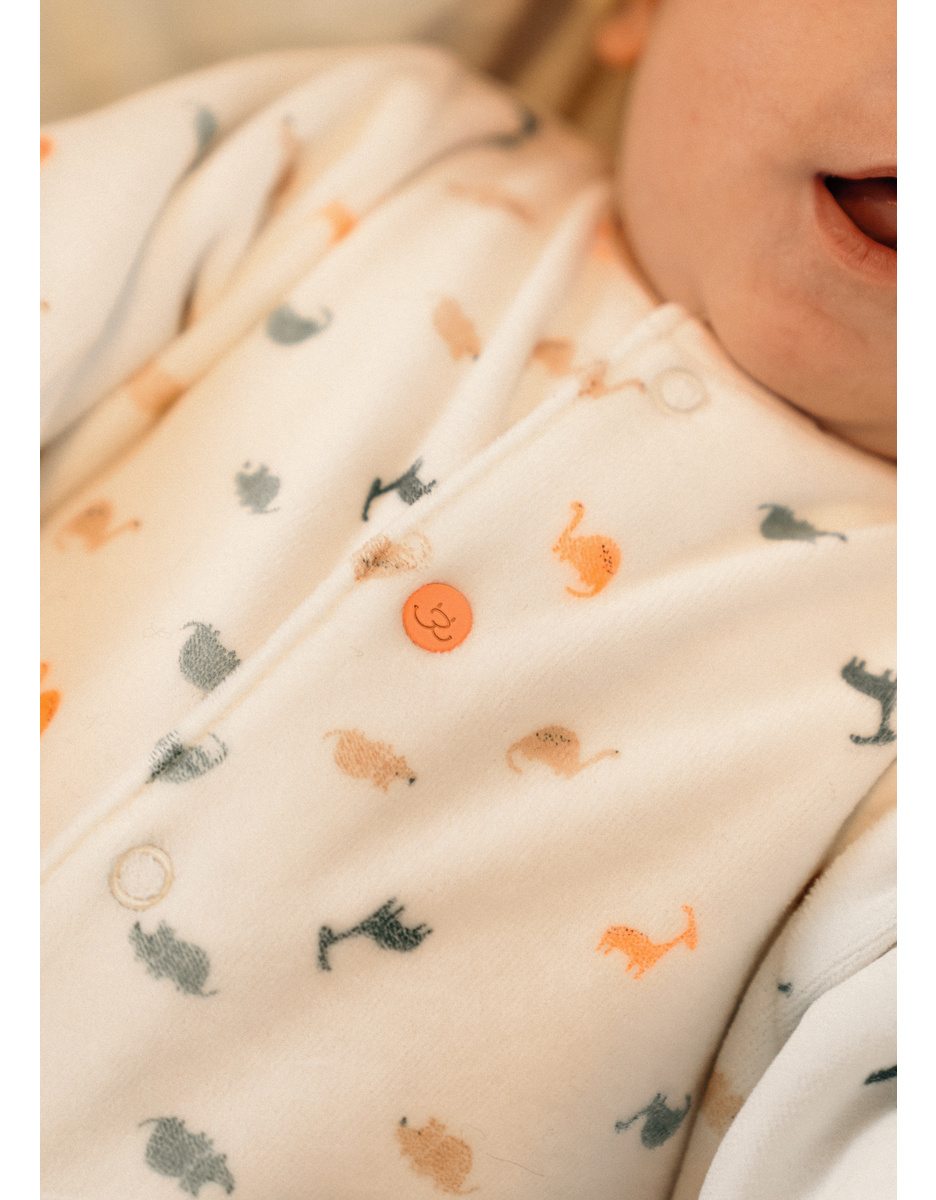 Noukie's Lot de 2 pyjamas bébé en velours - Dino fluo et bleu - Taille 1 mois – Image 3